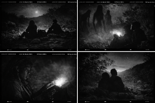 Night After the Grove