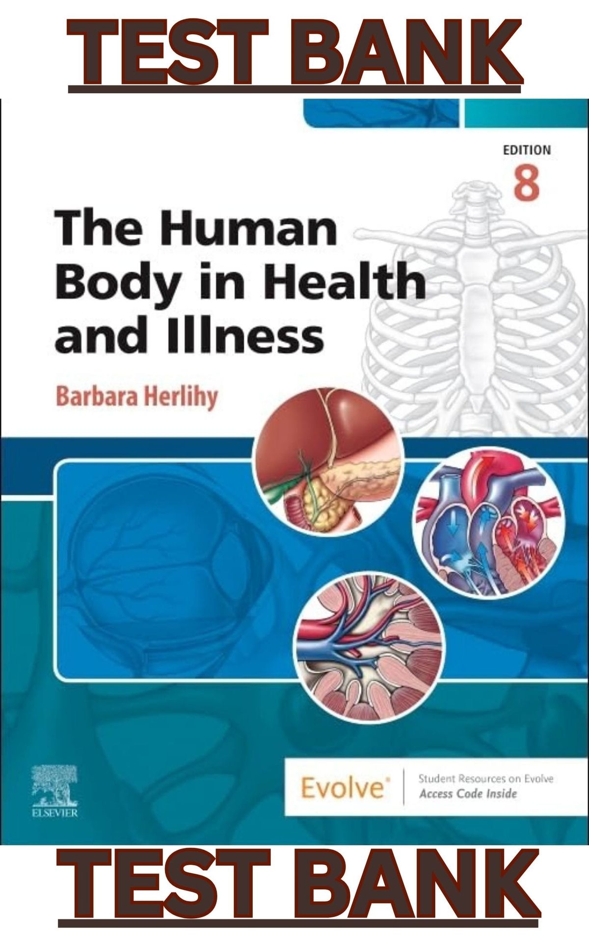TEST BANK for The Human Body in Health and Illness 8th Edition by Barbara Herlihy