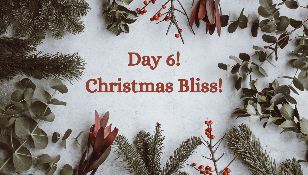 🎅Christmas Countdown: Unveiling the Scent of Holiday Joy