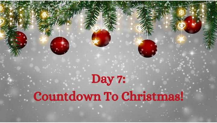 🎅Christmas Countdown: A Fragrant Journey Through a Winter Forest