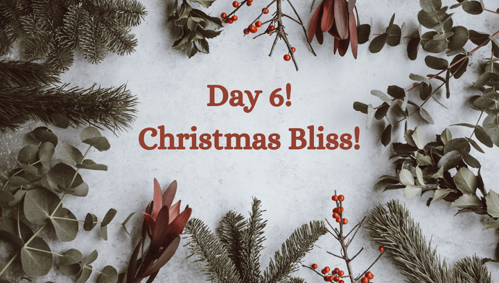 🎅Christmas Countdown: Unveiling the Scent of Holiday Joy