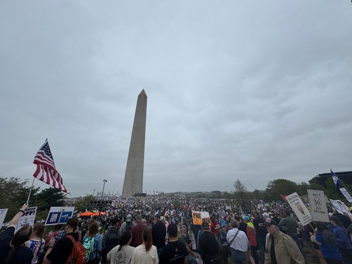 What I saw at the #HandsOff protests in Washington