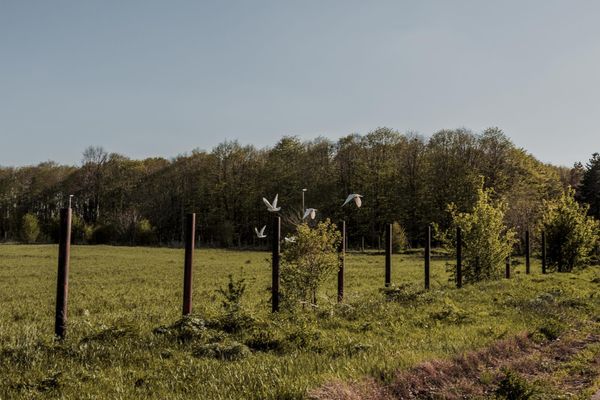 По Йовковата Добруджа - Глава I