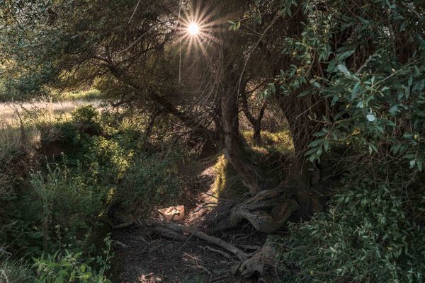 Безводието обяснено - разговор с проф. Емил Гачев