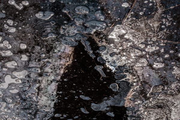 Пиявици и рози - II. Хамелеони