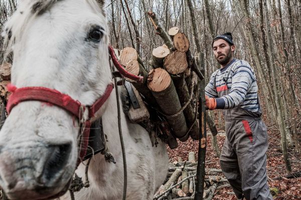 Новопланински легенди: Балканджии