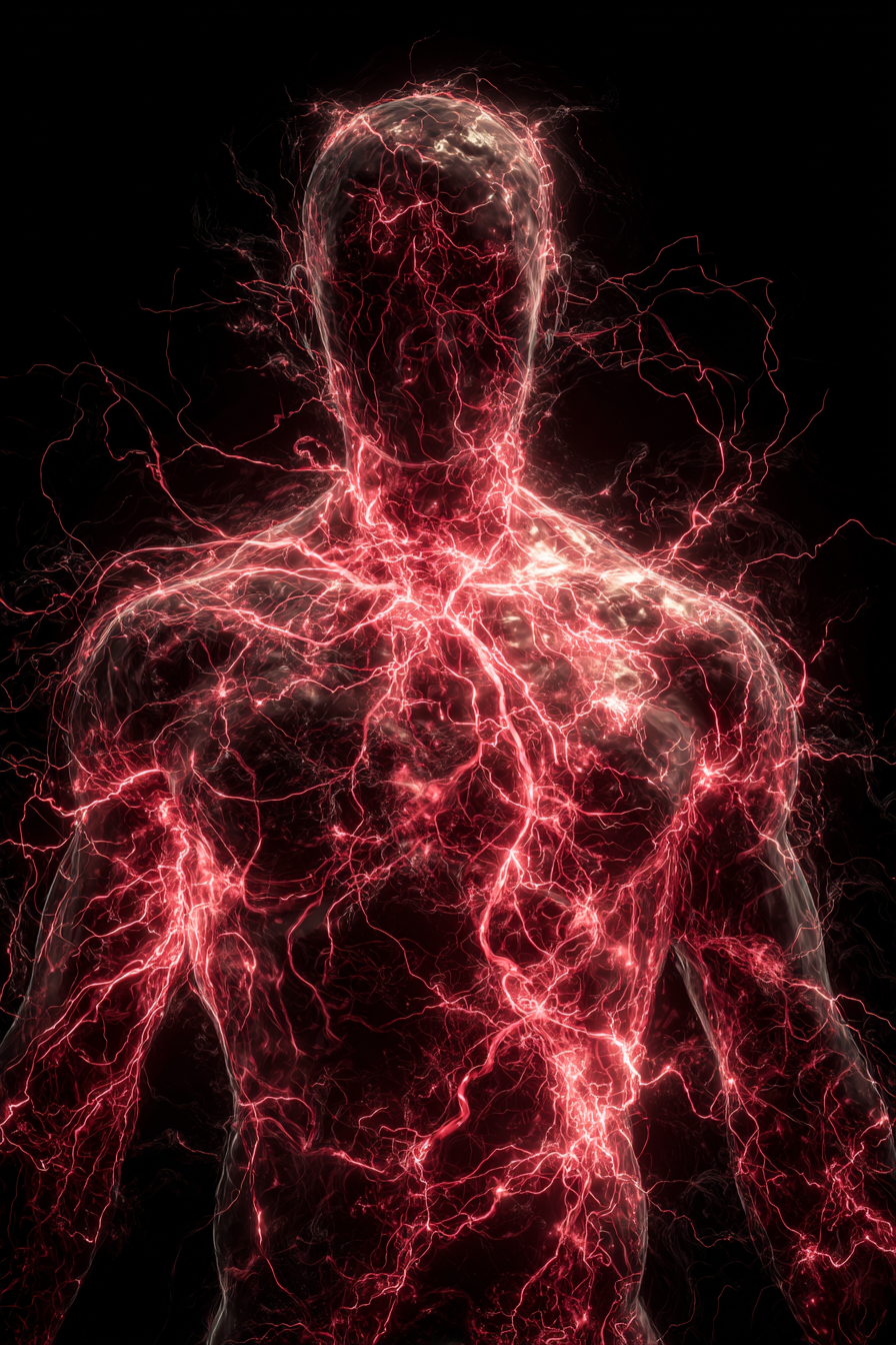 Chronische Entzündung ist der stille Killer – und wenn du sie nicht bekämpfst, unterschreibst du dein eigenes Todesurteil.