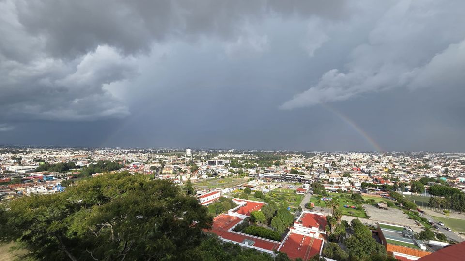 What's New in Mexico?