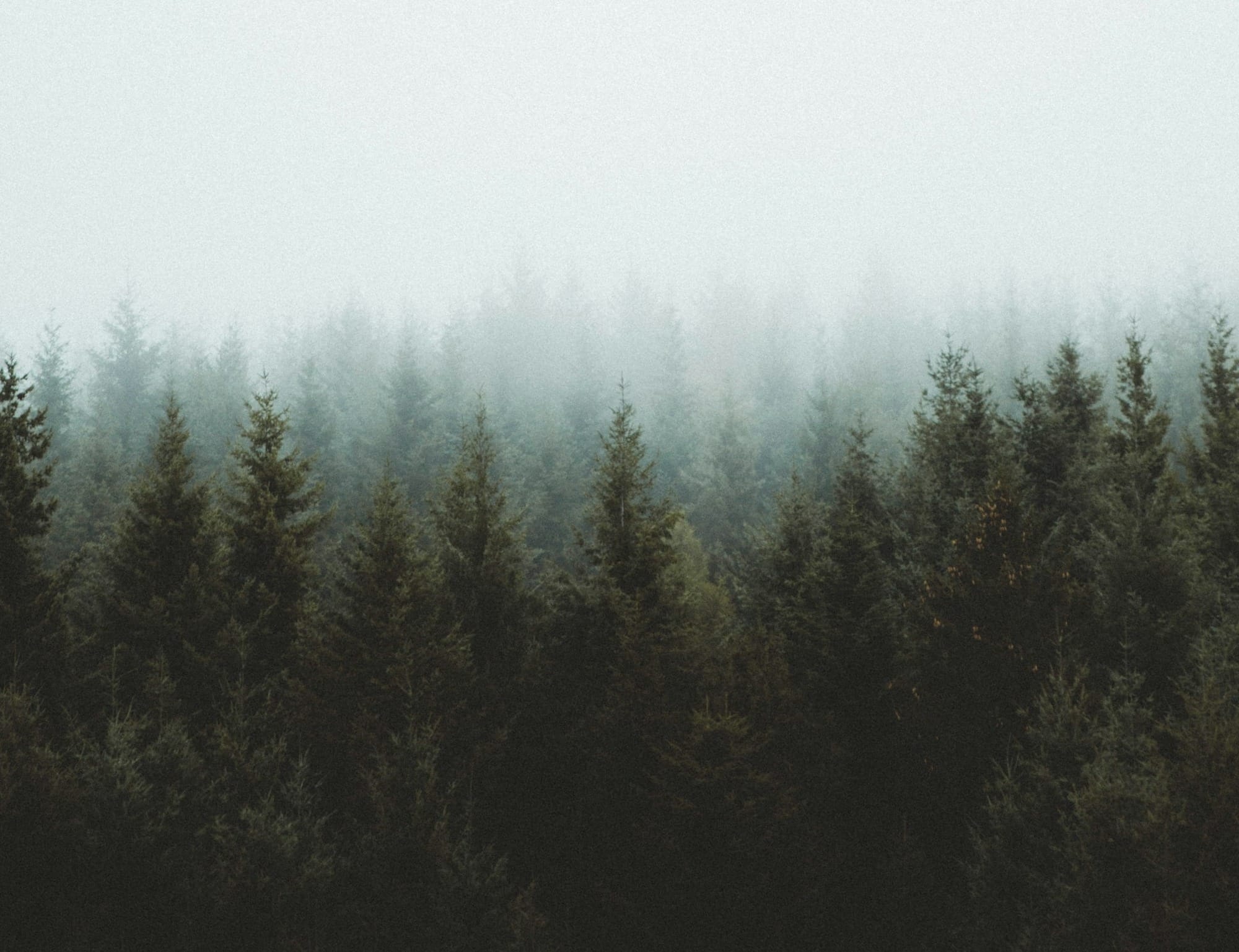 Drift & Dwell: Eurorack Modules for Ambient Soundscapes