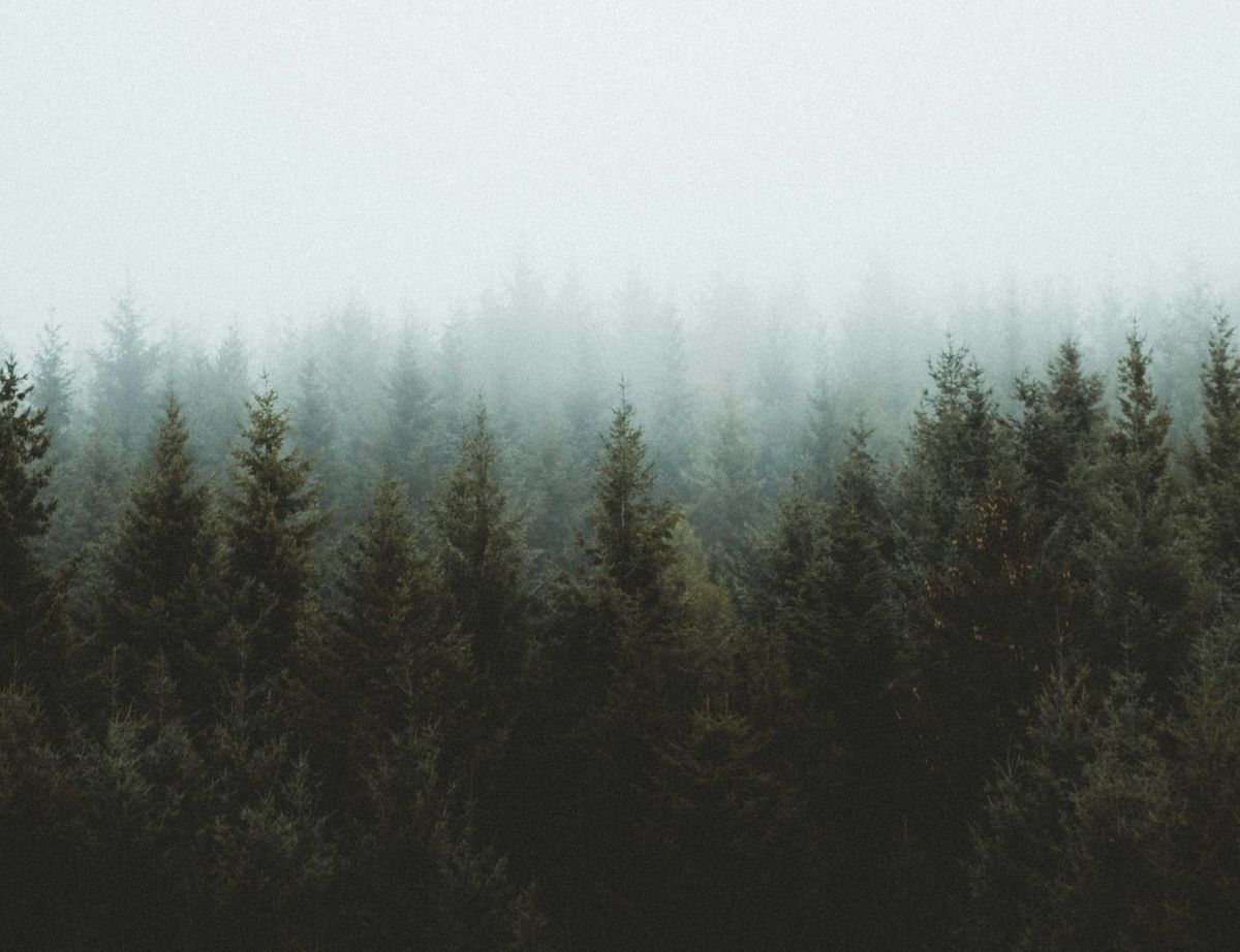 Drift & Dwell: Eurorack Modules for Ambient Soundscapes Post feature image