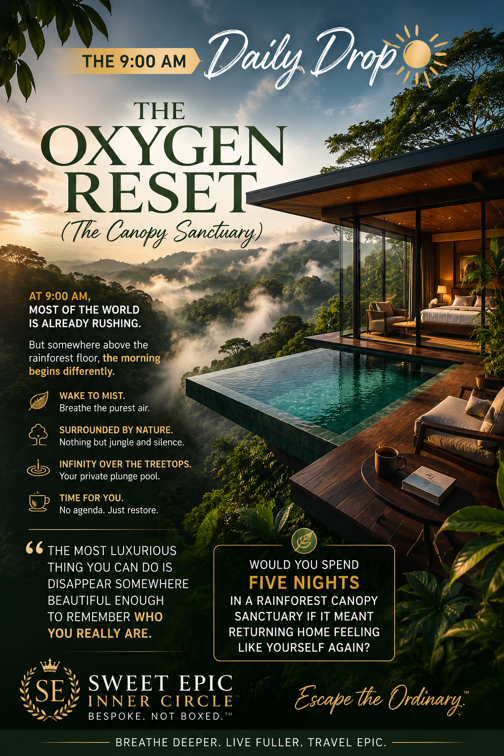 ☀️ THE 9:00 AM DAILY DROP THE OXYGEN RESET (The Canopy Sanctuary)