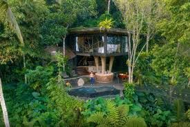 THE DAILY DROP: The Emerald Canopy Buyout (Bali & Beyond)