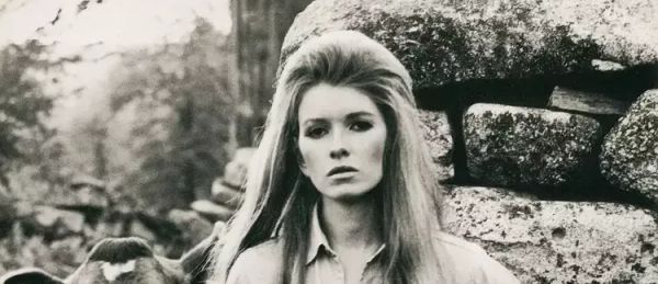 What I'm reading in the aftermath