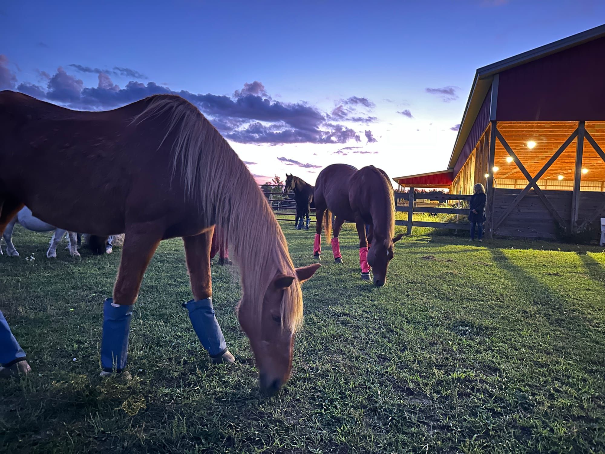 Friends of Red Horse