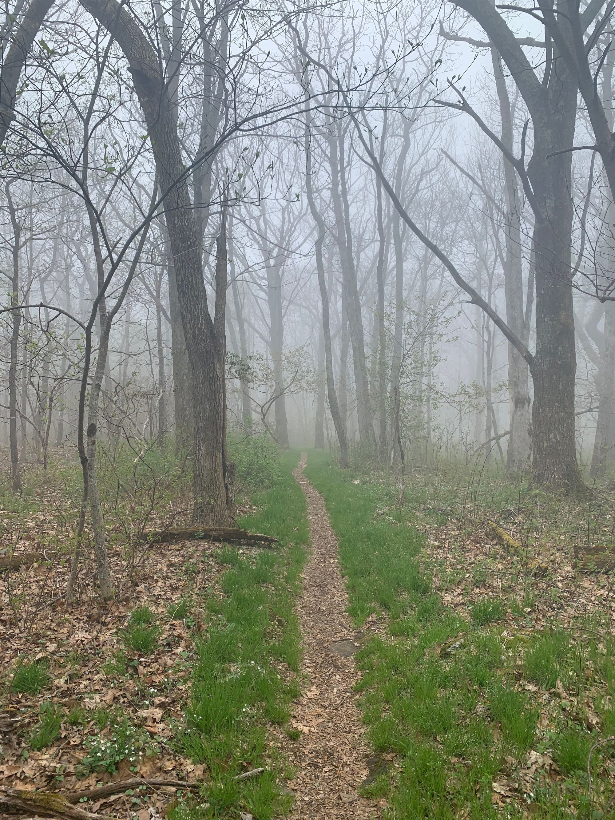 A Road to Nowhere