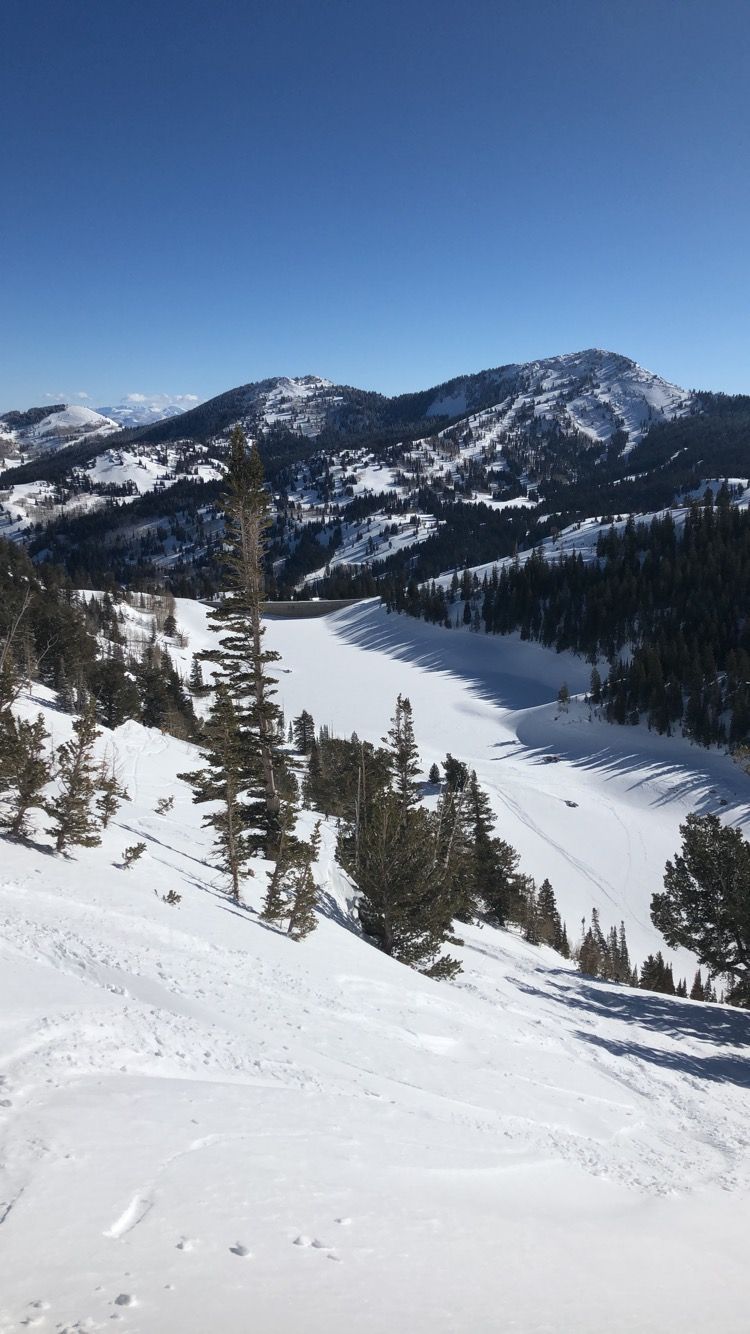 Experts Only: Unmarked Obstacles