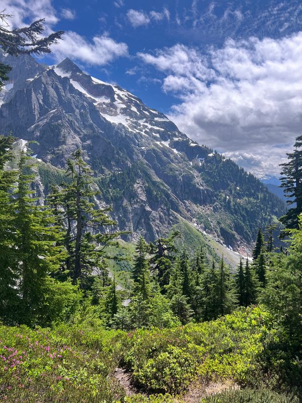 The GD Ephemeral Media