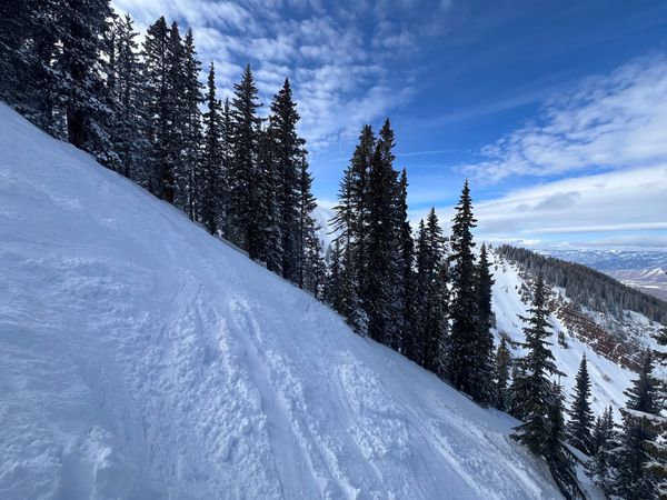 Pizza with a side of French Fry