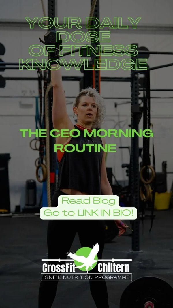 The "CEO" Morning Routine: Why Physical Discipline Precedes Professional Success