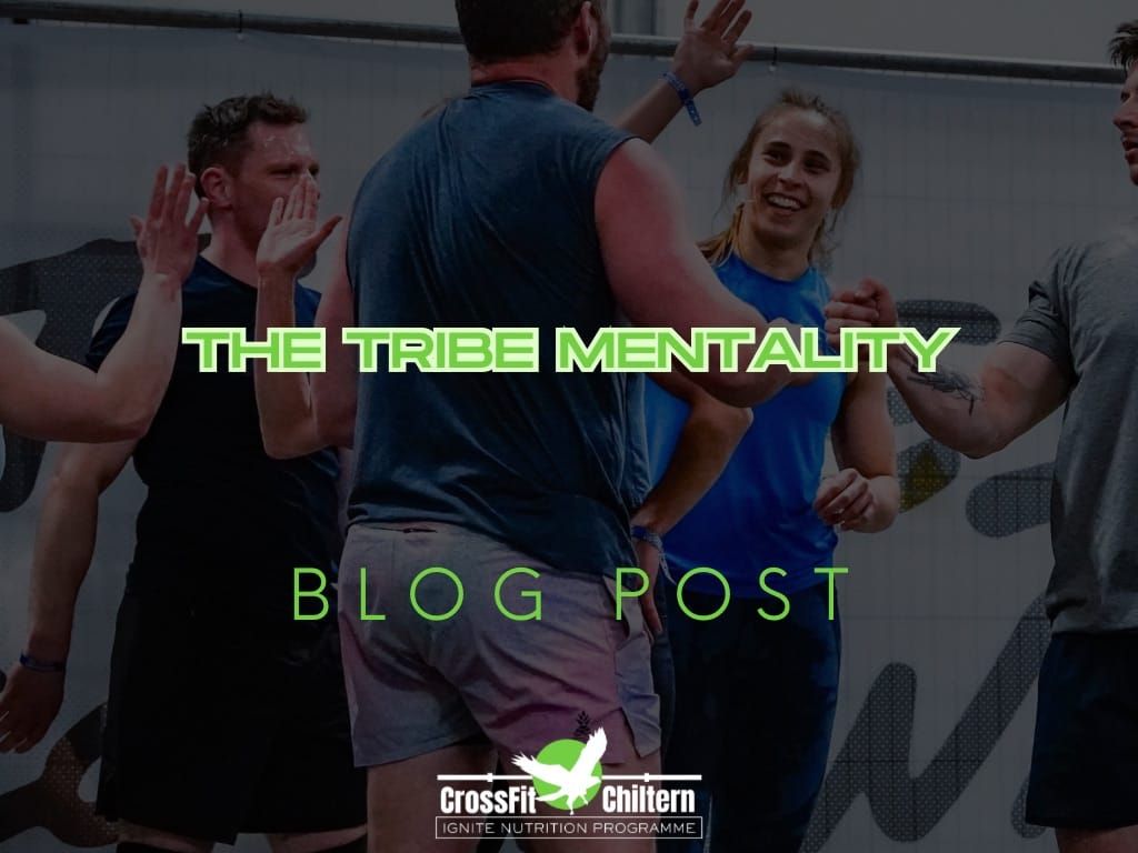The Tribe Mentality: Why "Lone Wolves" Always Hit a Performance Plateau