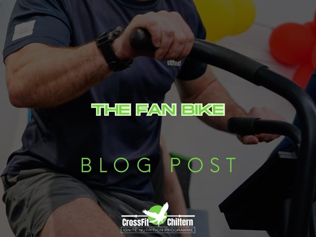 The Fan Bike: Why Everyone Hates It and Why That's Exactly the Point