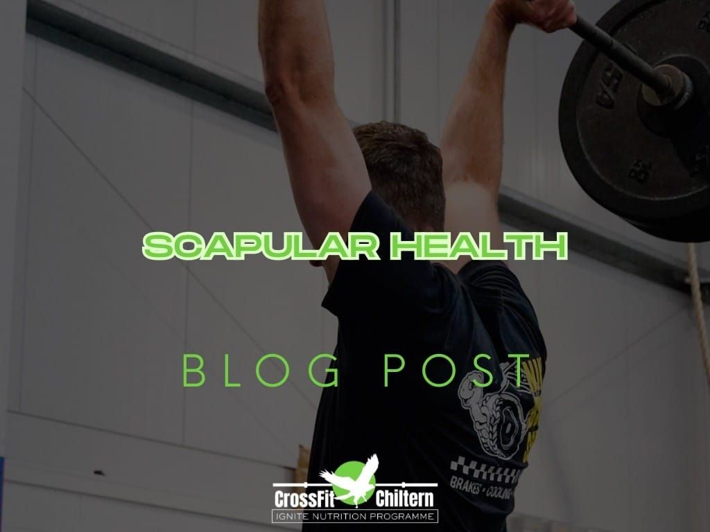 Scapular Health: The Missing Link in Every Pressing Programme
