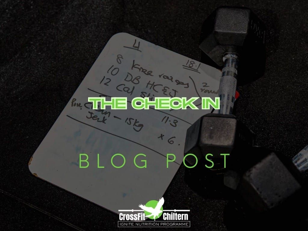 The Check-In: Why Tracking Your Training Reveals More Than You Think