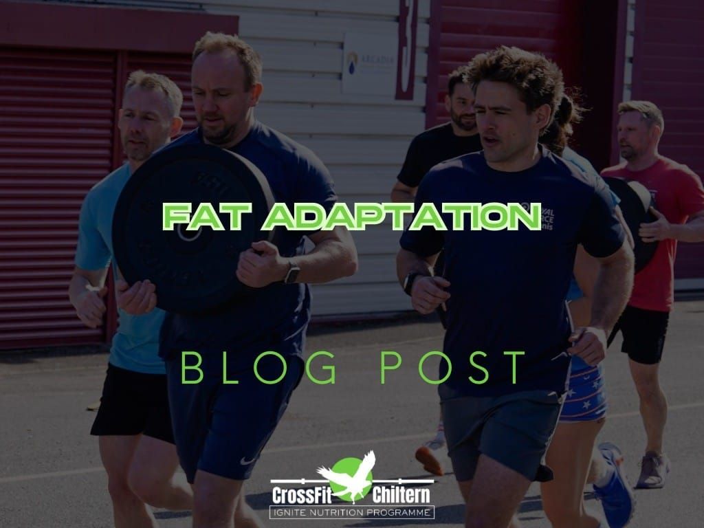 Fat Adaptation: Teaching Your Body to Burn the Right Fuel