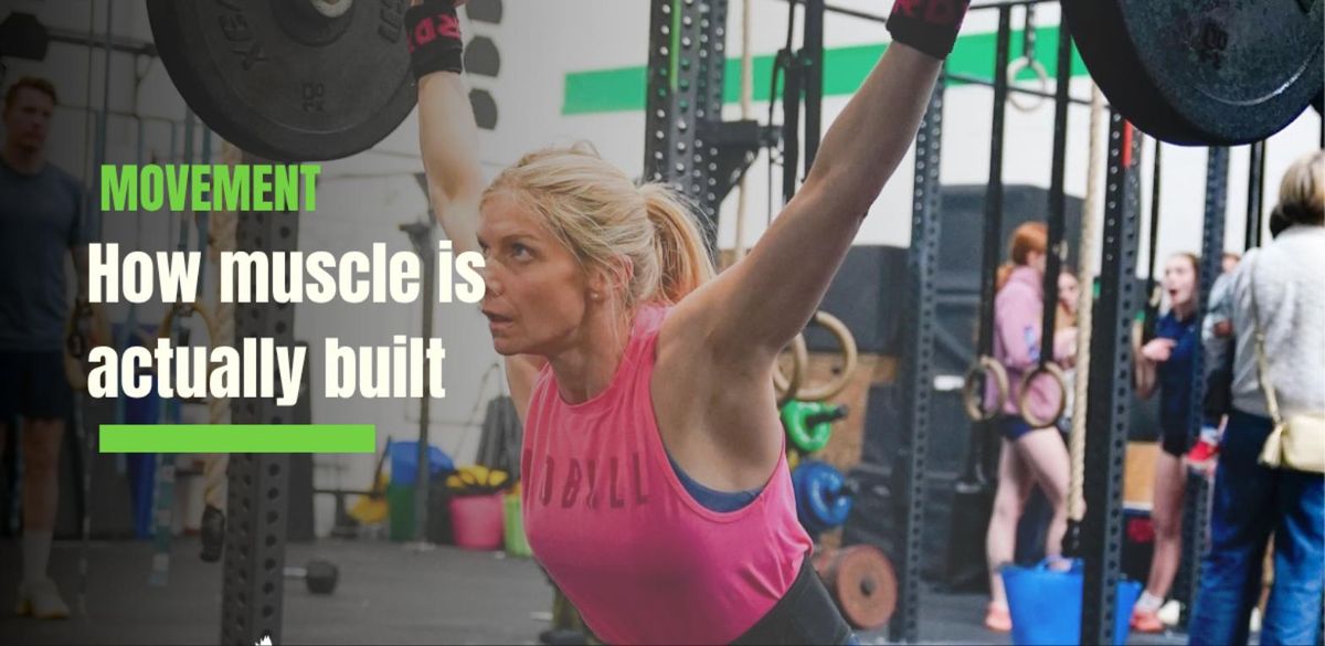 Sets, Reps and Patience: What Adds Muscle After Forty