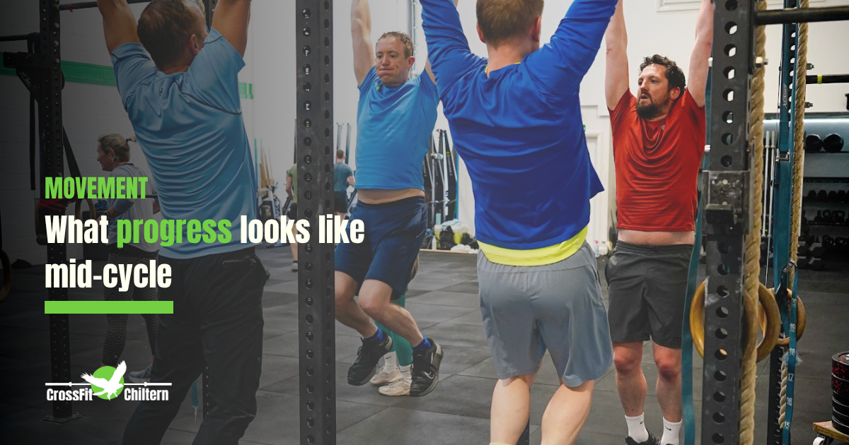 Strength Cycles: What Progress Looks Like Mid-Cycle