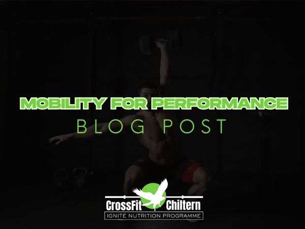 a man lifting weights in a gym