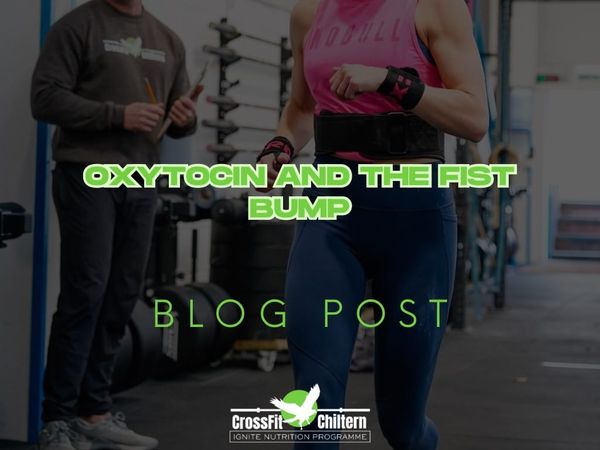 Oxytocin and the Fist Bump: The Science of Shared Success