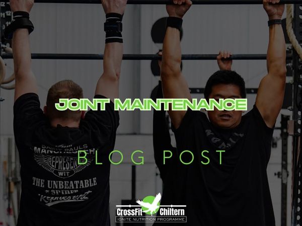 Joint Maintenance: The 40+ Chassis Audit for Long-term Capability