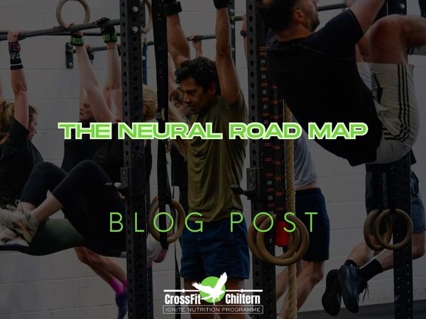The Neural Roadmap: Master Complex Skills Without the Frustration