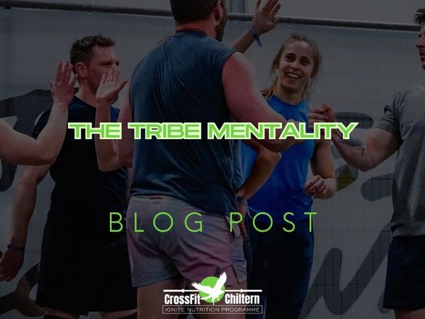 The Tribe Mentality: Why "Lone Wolves" Always Hit a Performance Plateau