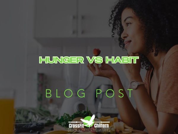 Hunger vs. Habit: The Difference Between Eating and Feeding