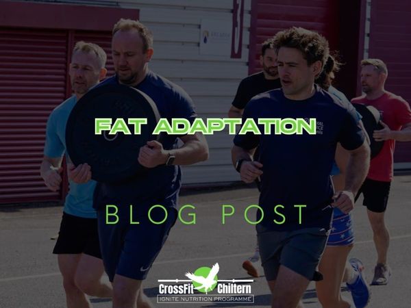 Fat Adaptation: Teaching Your Body to Burn the Right Fuel
