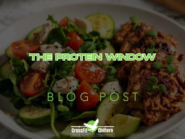 The Protein Window: Does Timing Actually Matter?