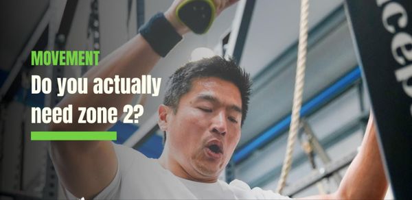 Zone 2: Do You Actually Need It?