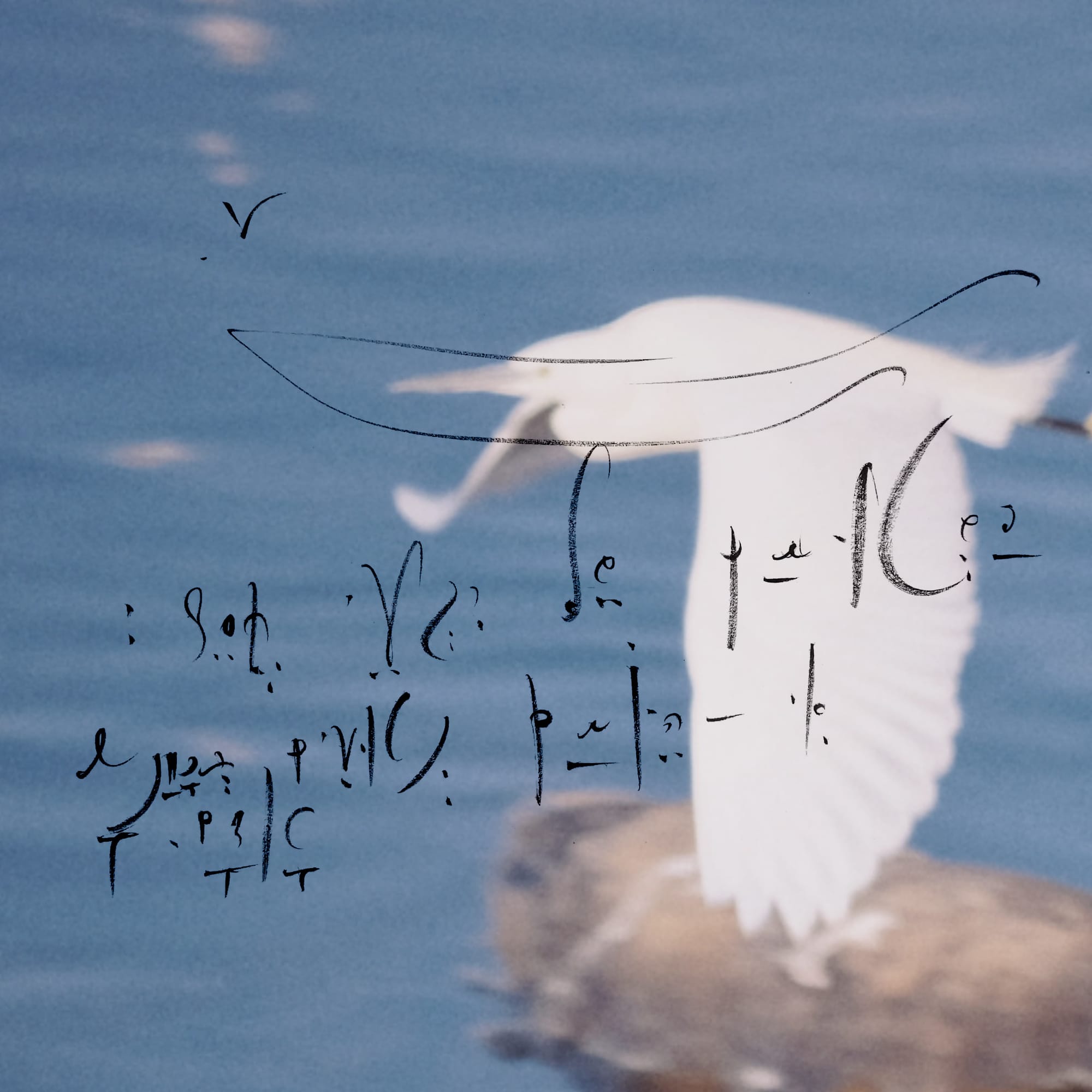 5QLN Codex OpenSource