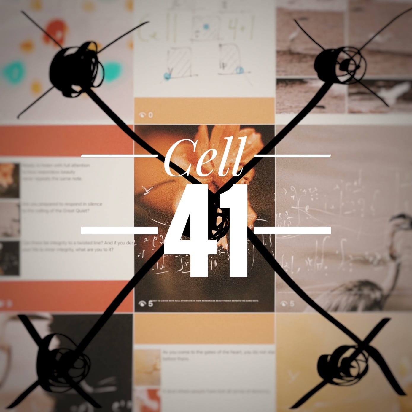Cell41