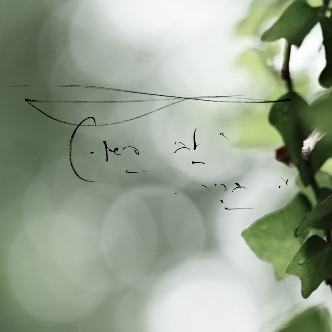 A simple heart, clear