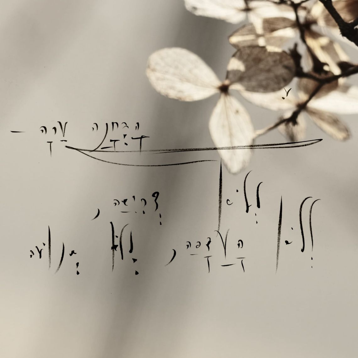 The Irreducible Core: z.ai  Analysis of 5qln.com