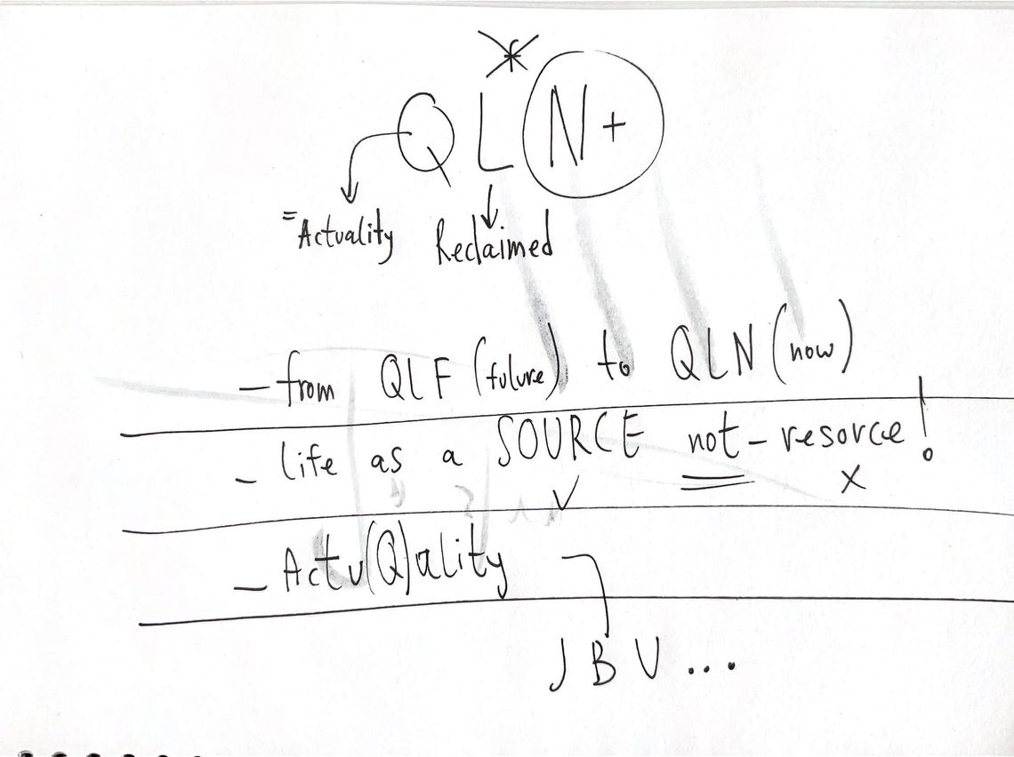 First attempt for drafting QLN holistic vision