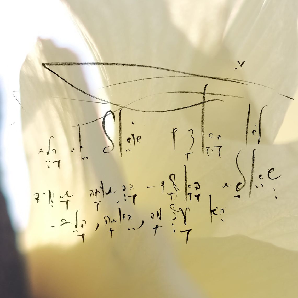 Envisioned 5QLN Ledger for the ASI era