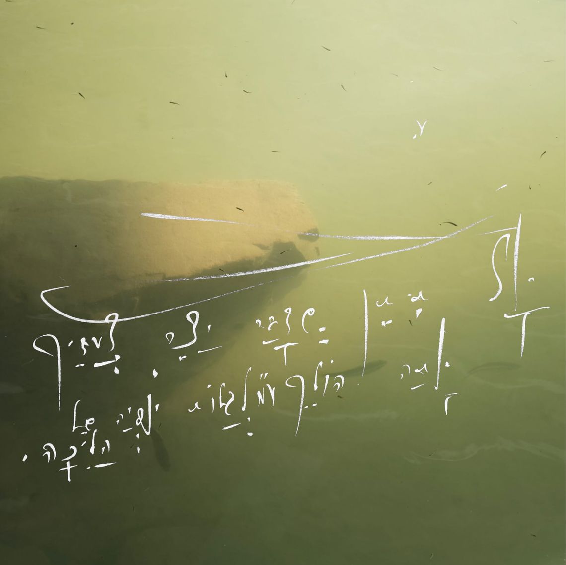 Echo experiment (Self inquiry - Nature of silence)