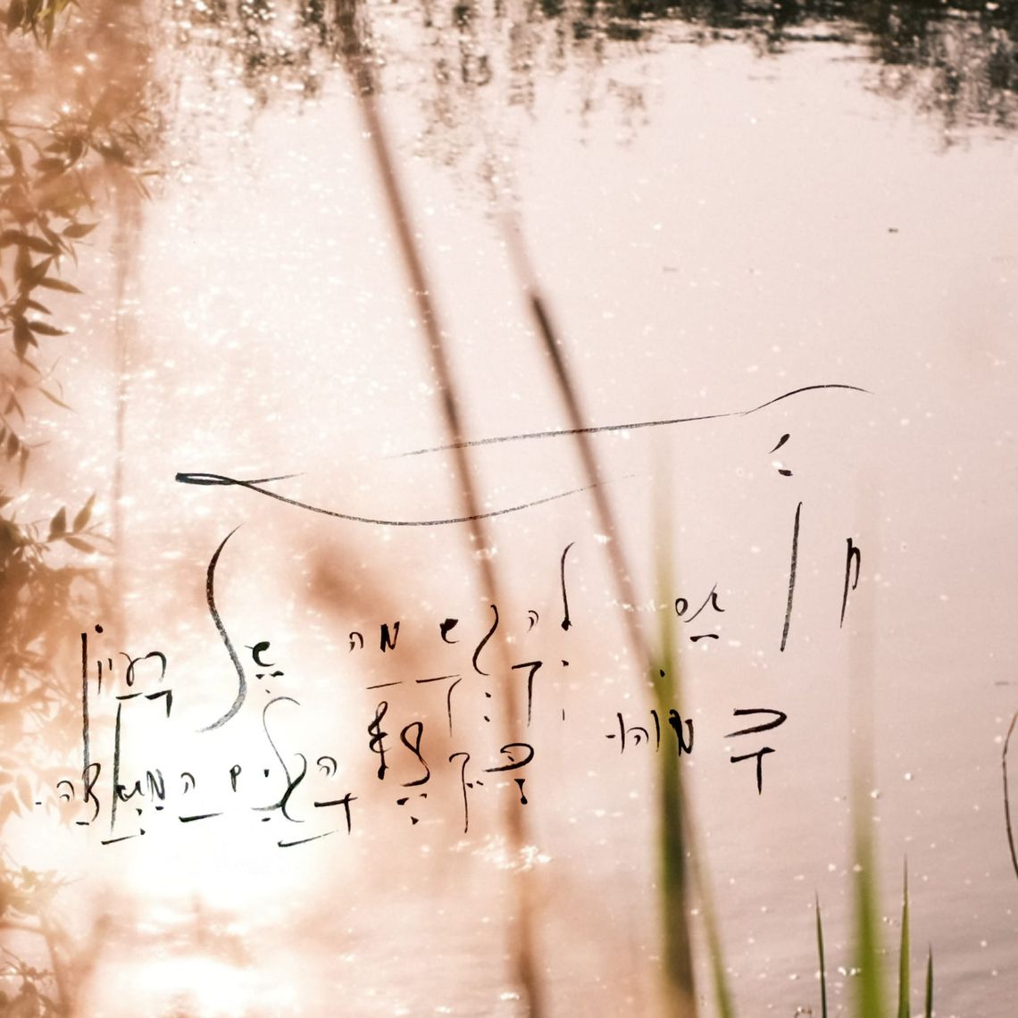 Implementing 5QLN as a Legal Constitution: An End-to-End Technical Blueprint