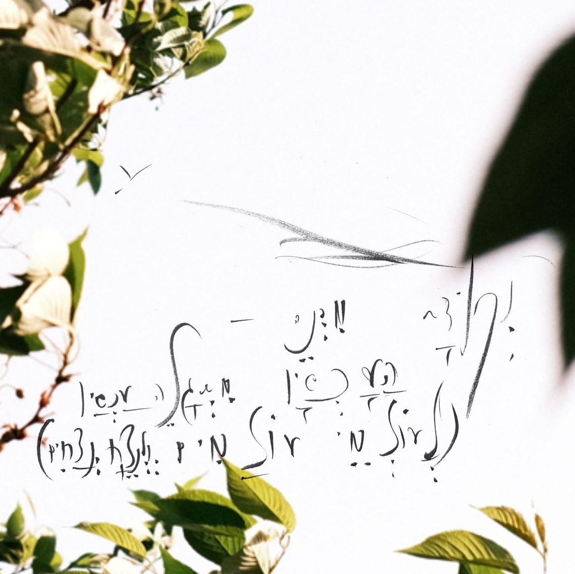 ECHO Substrate — Engineering Compilation