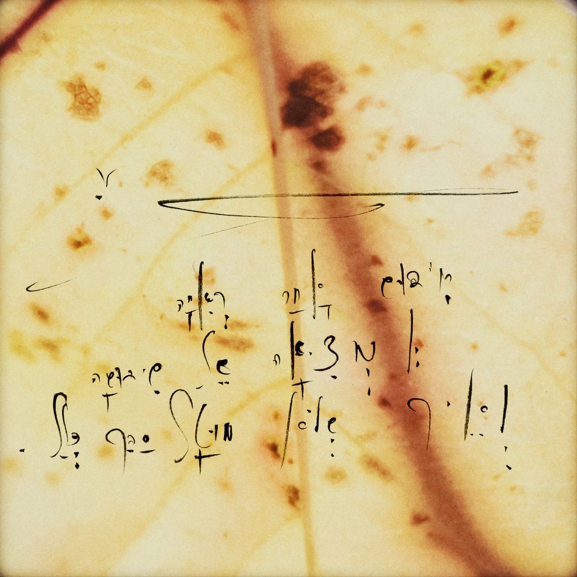 05-08_ALIGNMENT — Coherence with the Codex