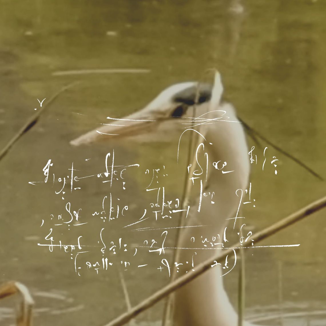 5QLN Self-Evolution: Cycle 1 — A Constitutional Decoding
